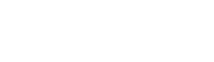 scalesights logo